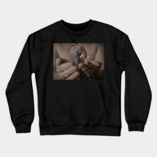 Elephant in The Room Crewneck Sweatshirt